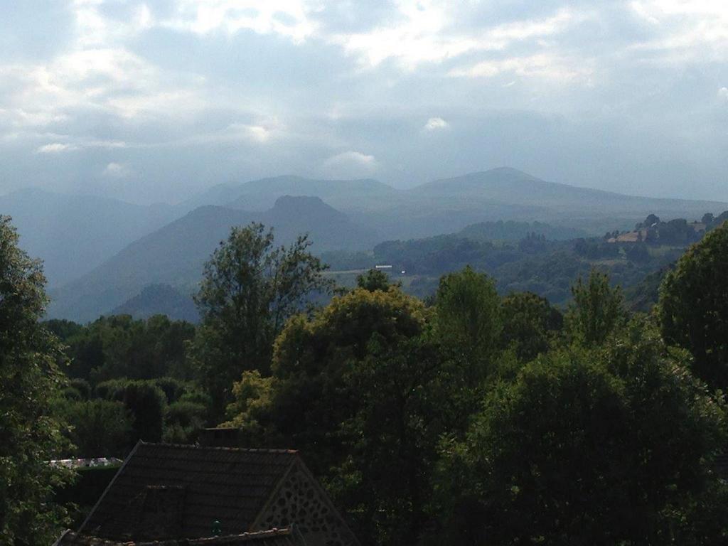 La Vue Sur Le Paradis Chambon-sur-Lac Room photo